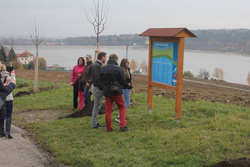 Alej malého Noe vznikla na staré cestě k přehradě v Plumlově