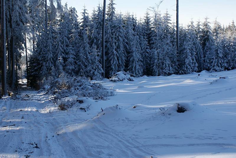 Zima u pramene Luhy a na nejvyšších partiích Drahanské vrchoviny - 15. 2. 2021