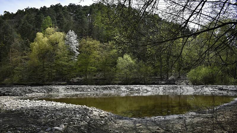 Těžba bahna a obnova mokřadu u ústí Hloučely do plumlovské přehrady - 4. 5. 2021