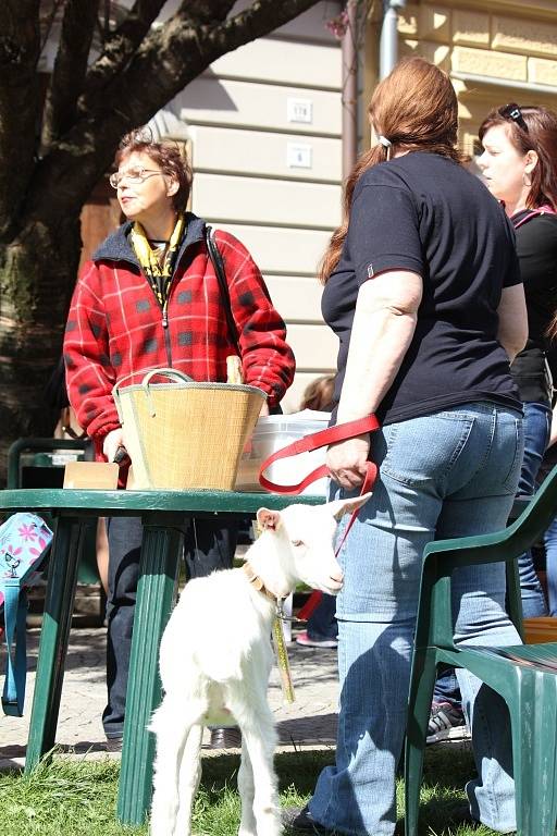 Den Země spojený s Ekojarmarkem v Prostějově