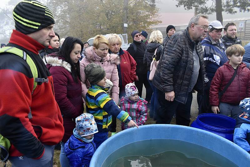 Výlov Podhradského rybníka v Plumlově, 28.10. 2021