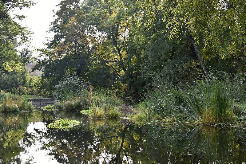 Pivovarský rybníček ve Vrahovicích a jeho přilehlé okolí se dočká revitalizace. Práce by měly být zahájeny v prosinci 2021. 14.10. 2021