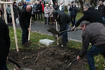 Sázení lípy k uctění 100. výročí vzniku československého státu ve Smetanových sadech v Prostějově