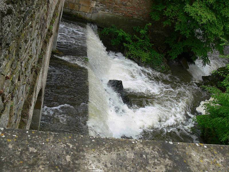 Hloučela pod Podhradským rybníkem v Plumlově