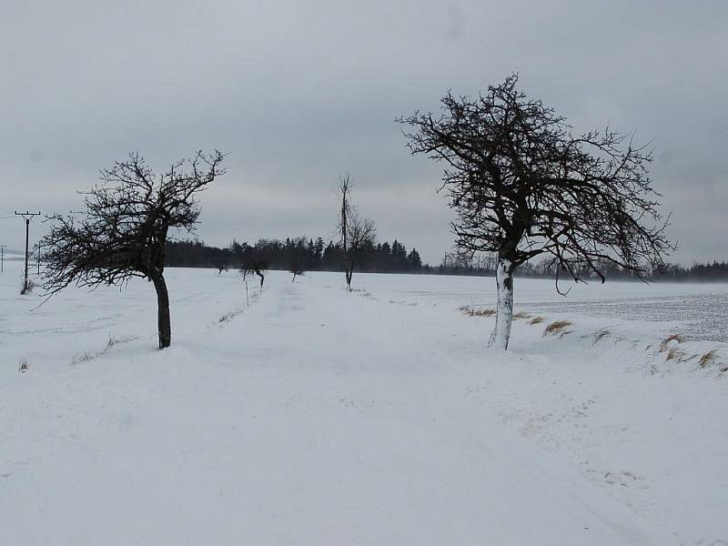 Sněhové nadělění na Drahanské vrchovině - 6. ledna 2012