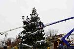 Větve z vánočního stromu Horáček poslouží kozám z čelechovické kozí farmy Rozinka