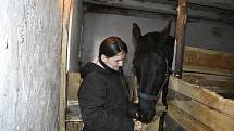 Chovatelka koní Eva Foukalová našla v Srbcích nový domov pro svou rodinu i zvířata.