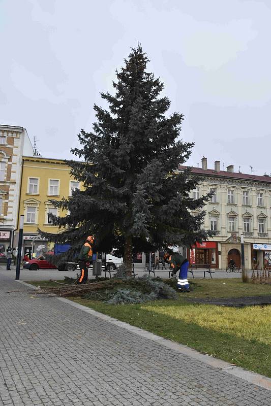 Z prostějovského hlavního náměstí zmizela vánoční dominanta, strom Horáček