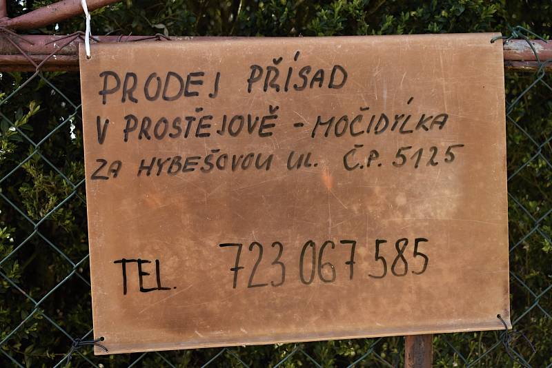 Zahradnictví Atanasov v Prostějově - Zelenina od bulharských zahradníků zásobuje Prostějov již sedmdesát let. 16.4. 2020