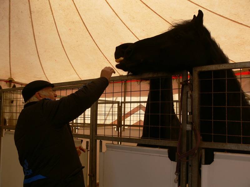 Cirkus Sultan Berousek v Prostějově