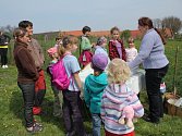 Rodiny s dětmi vyrazily na Bílou sobotu do Čelechovic na Hané. Na zdejších pastvinách se tradičně počítala kůzlátka. Na pastvu jich vyběhlo osmnáct. Chovatelka však kozám ještě průběžně pomáhá rodit. 