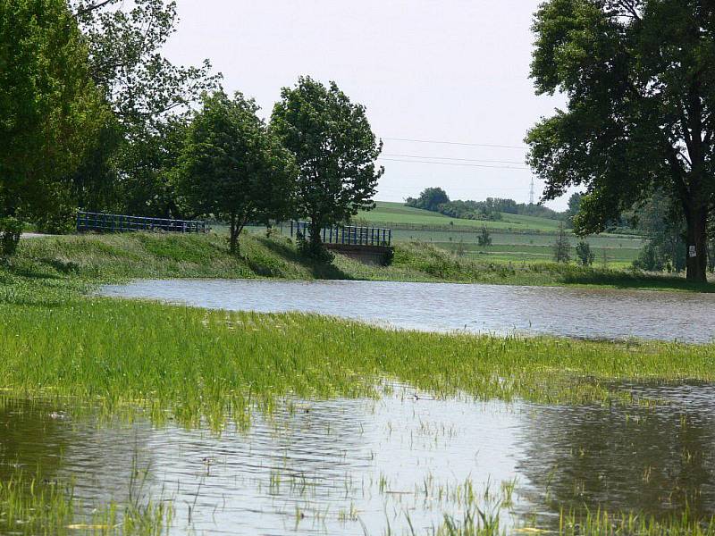 Mořice, pátek 4. 6. 2010 - dopoledne