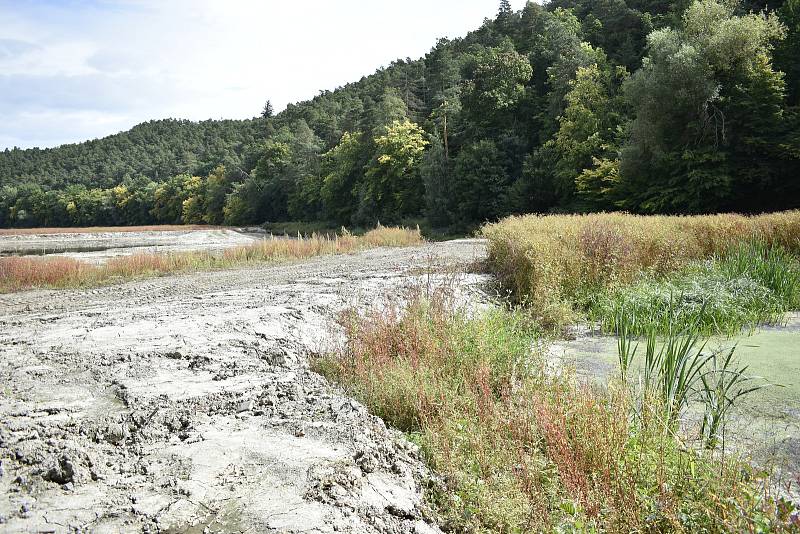 Retenční nádrž na přítoku plumlovské přehrady je již vybagrována a čeká na podzimní výsadbu. 24.9. 2021