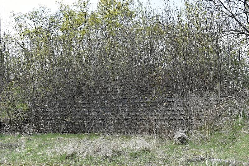 Chátrající stadion ve Sportovní ulici v Prostějově. 25. 4. 2022