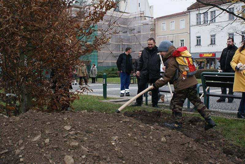 Prostějovské náměstí T.G.M. zdobí nový habr. Při usazení přiložili ruku k dílu i zástupci města a děti 