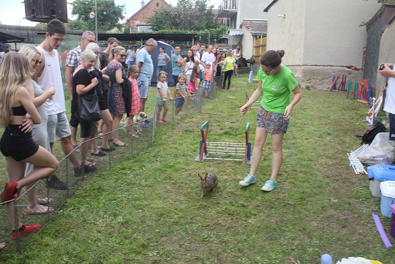 Výstava drobného zvířectva v Plumlově