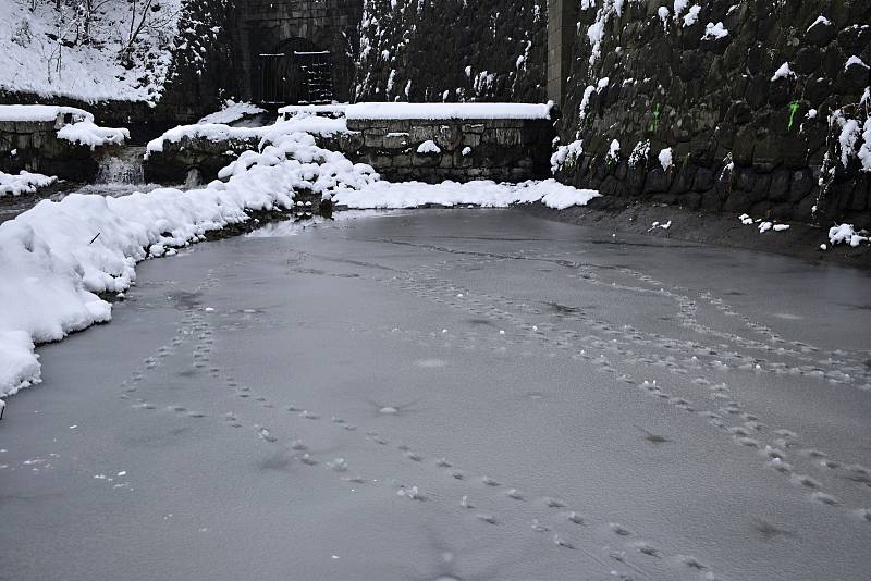 Úchvatné scenérie nabízí zasněžené okolí plumlovské přehrady. 10.12. 2021