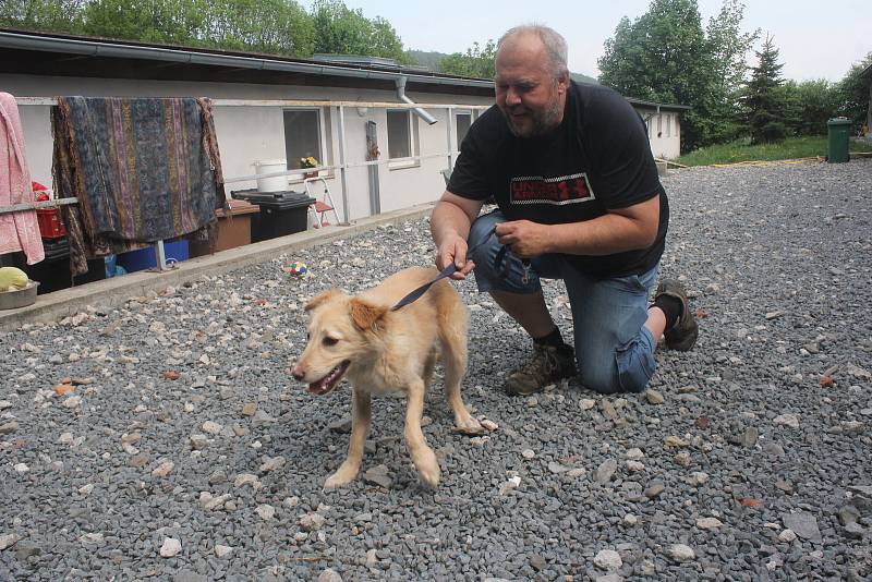 Útulek Voříšek v Čechách pod Kosířem