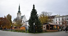 Na náměstí T. G. Masaryka dorazil vánoční strom. Je to dvanáctimetrový smrk omorika. 20.11. 2023
