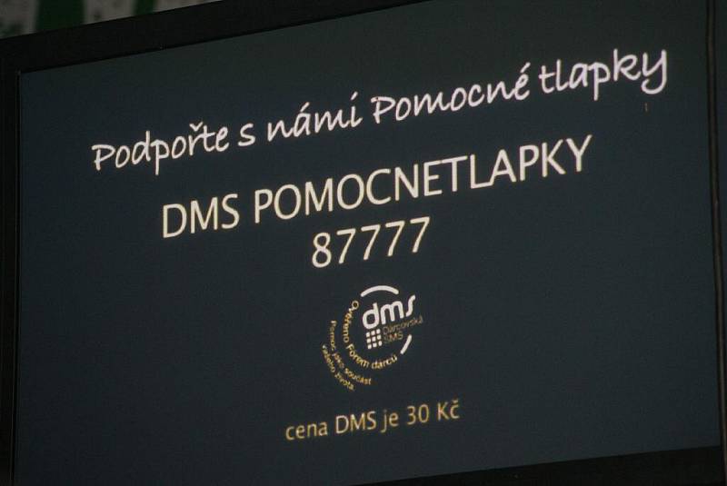 Videoprojekce k projektu Pomocné tlapky