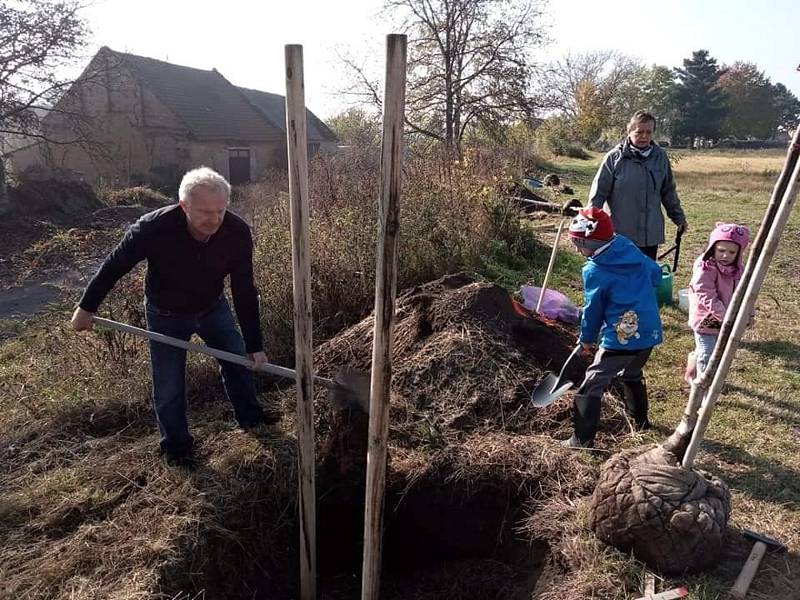 Sváteční sázení stromů v Pivíně, 28. října 2021