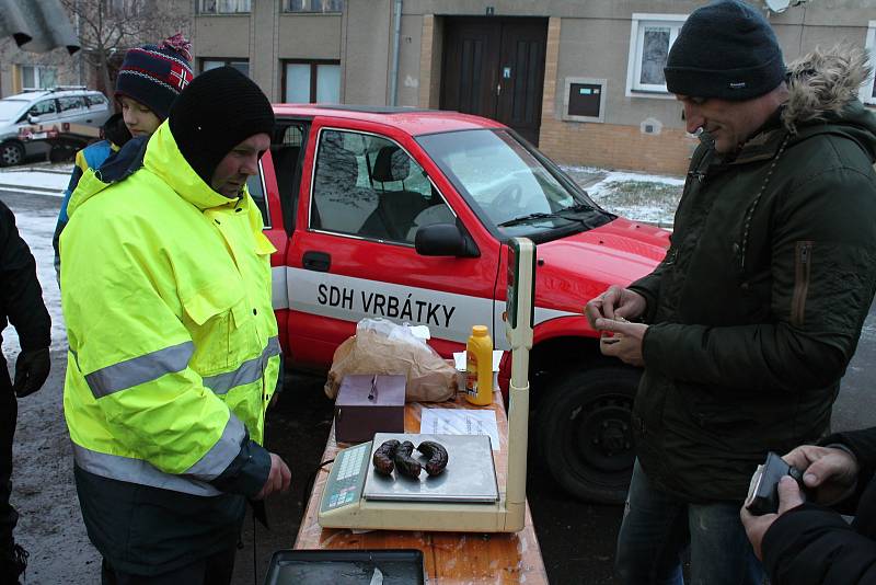 MISTR V AKCI. Řezník Tomáš Hrbata porcoval čuníka přímo na místě.