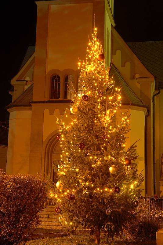 5. Držovice, ulice SNP u kaple sv. Floriána, 6 metrů, smrček (darovaný od místních občanů)