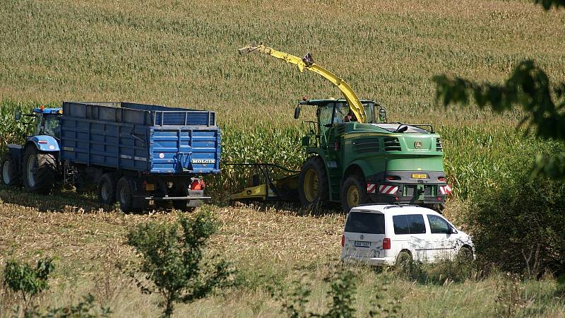 Sklizeň kukuřice na polích u Žárovic - 9. 9. 2020