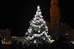 Větve z vánočního stromu Horáček poslouží kozám z čelechovické kozí farmy Rozinka