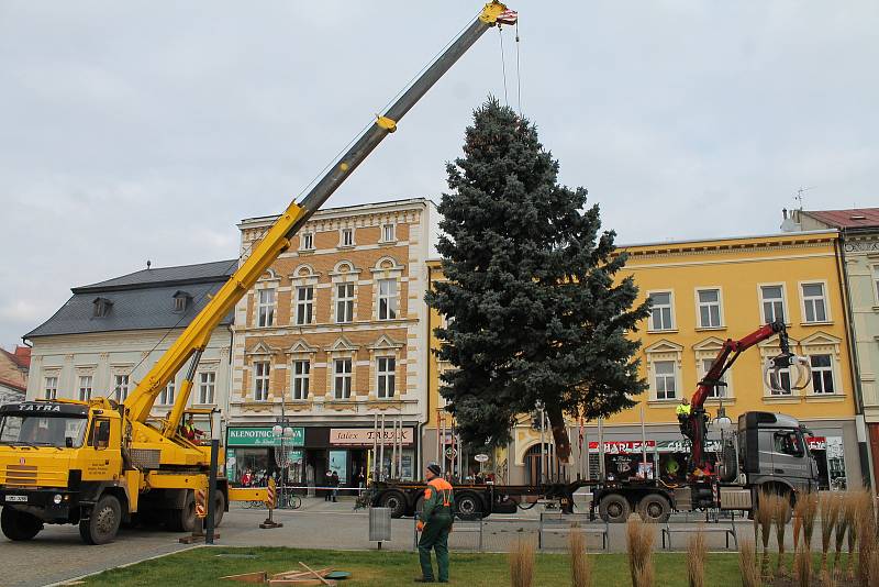 V pondělí po desáté hodině dorazil na náměstí TGM vánoční strom. Tentokrát centrum města zkrášlí smrk z Brodku u Konice.