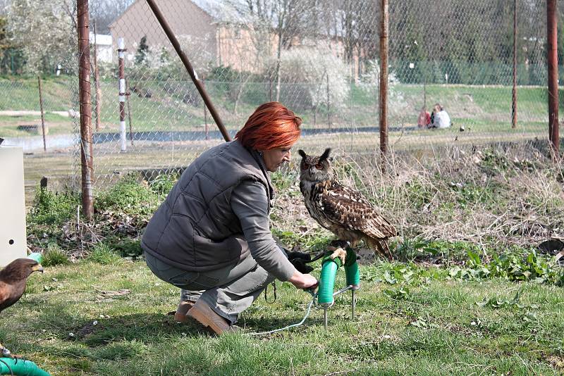 V Kobeřicích se školáci z Brodku u Prostějova vrhli do čištění okolí říčky Brodečky 5.4. 2019