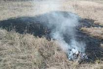 Čtyřiašedesátileté ženě se pálení dopisů vymklo kontrole a málem založila požár v lesoparku Hloučela.