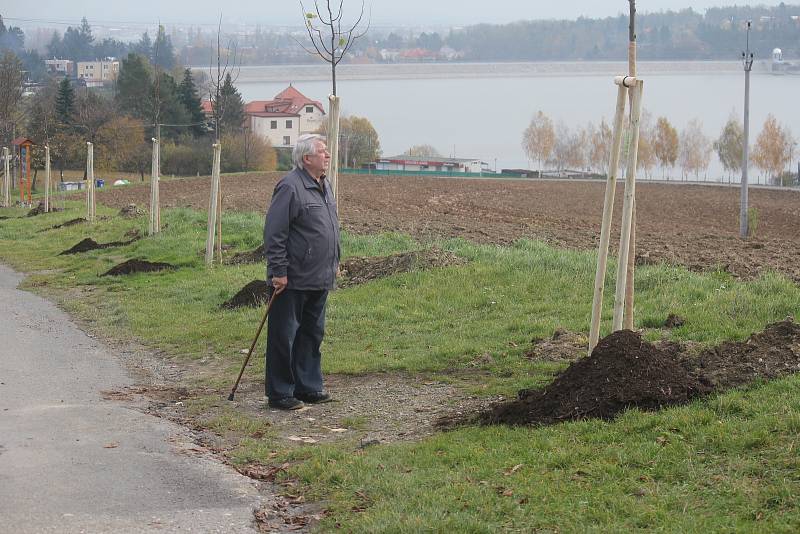 Alej malého Noe vznikla na staré cestě k přehradě v Plumlově