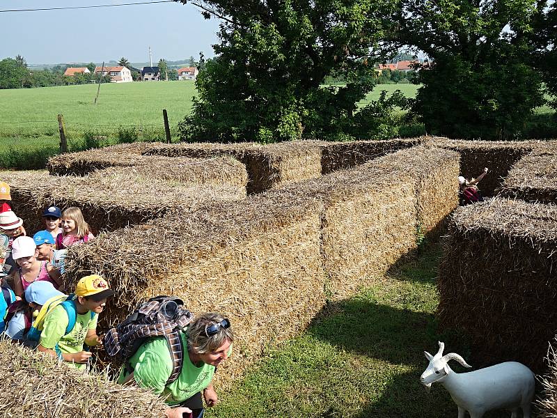 V pátek a sobotu byl na farmě Agrispolu den otevřených dveří