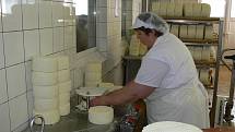 Výroba sýru Niva v Mlékárně Otinoves. Ilustrační foto