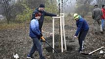 Východní část Prostějova, takzvaný cvikl v Čechůvkách, se stal místem kde se premiérově uskutečnila komunitní výsadba stromů. 13.11. 2021