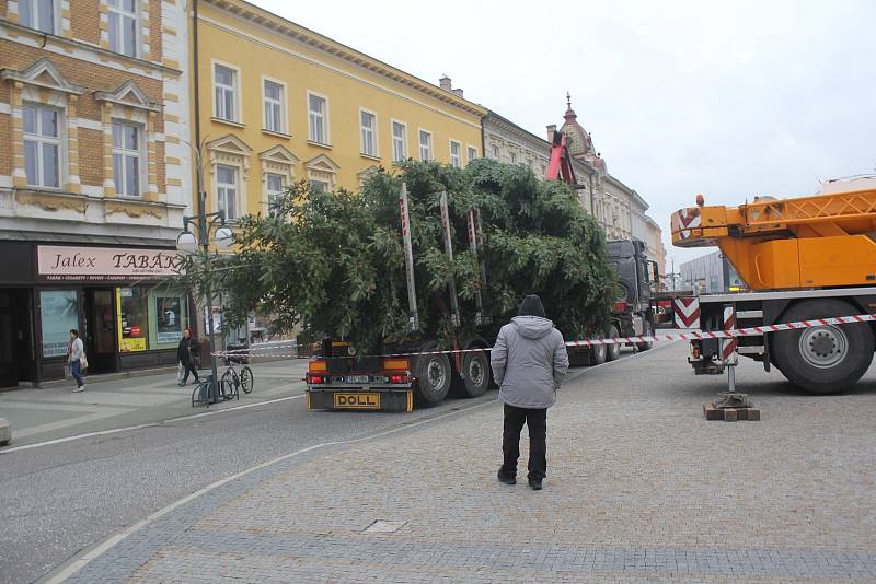 Vánoční smrk z Vrahovic už je na náměstí T. G. Masaryka. A čeká na ozdoby.