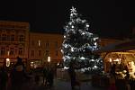 Vánoční strom na prostějovském náměstí TGM, listopad 2021