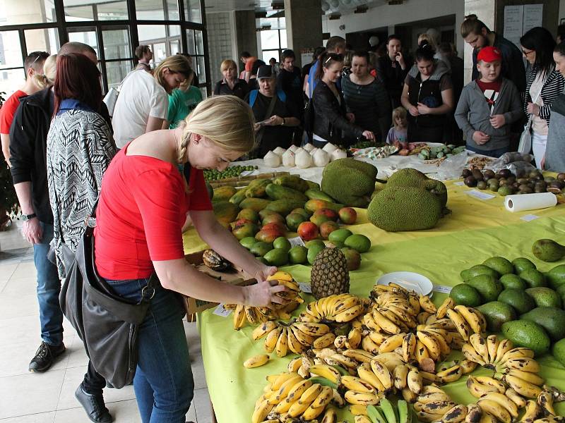 Africké tržiště. Prostějovský Společenský dům se změnil v nedělním odpoledni ve velkou tržnici. Prodejní výstava ´Afrika bez obalu II´ se těšila nadstandardnímu zájmu veřejnosti. Krátce po otevření, se před pokladnami vytvořila několikametrová fronta a ex