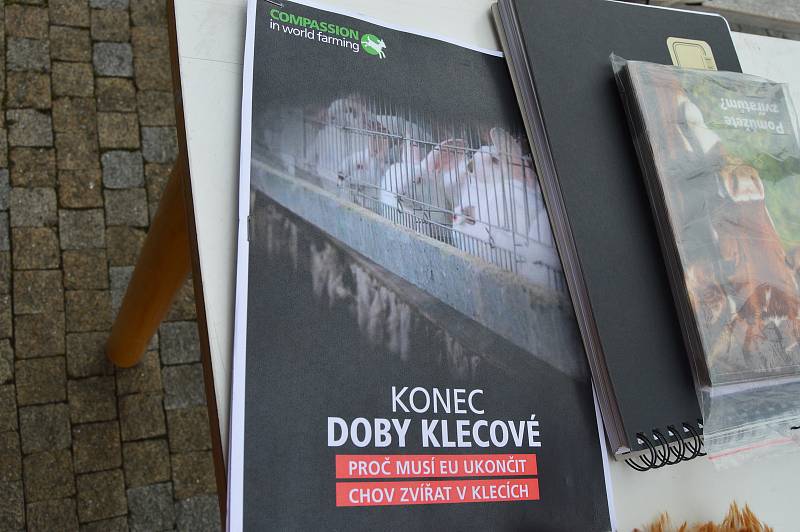 Slepičí tour 2019 - Lucie Juřenová a plyšová slepice Freeda šířily své poselství na Prostějovsku