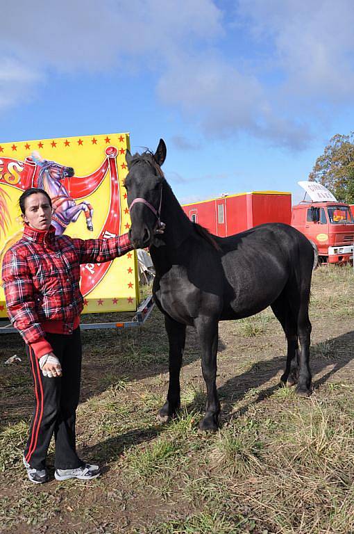 Cirkus Aleš zavítal do Prostějova