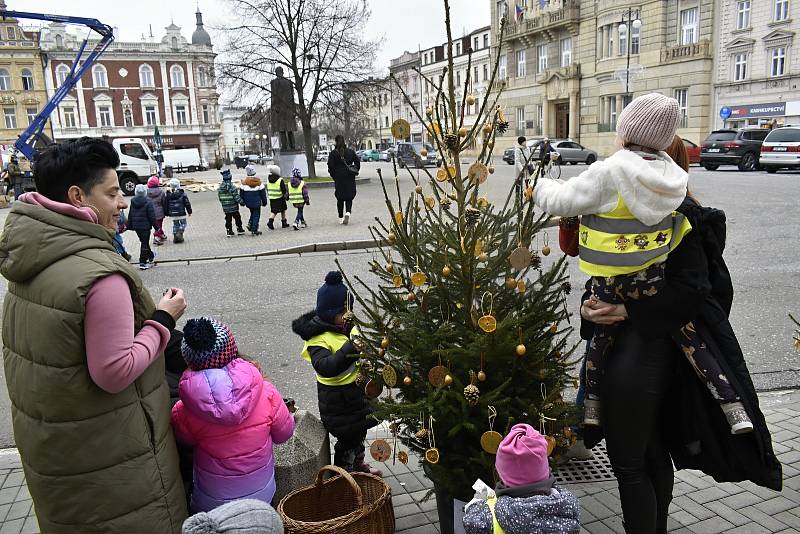 Tradice děti baví. Prostějovské náměstí T. G. Masaryka lemují desítky malých vánočních smrčků. 22.11. 2022