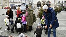 Tradice děti baví. Prostějovské náměstí T. G. Masaryka lemují desítky malých vánočních smrčků. 22.11. 2022