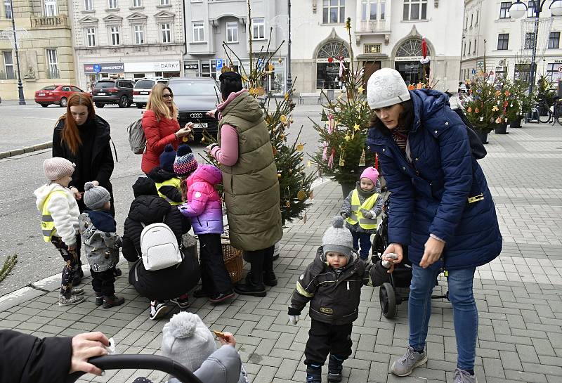 Tradice děti baví. Prostějovské náměstí T. G. Masaryka lemují desítky malých vánočních smrčků. 22.11. 2022