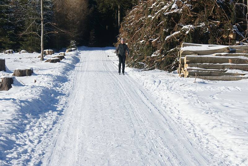 Zima u pramene Luhy a na nejvyšších partiích Drahanské vrchoviny - 15. 2. 2021