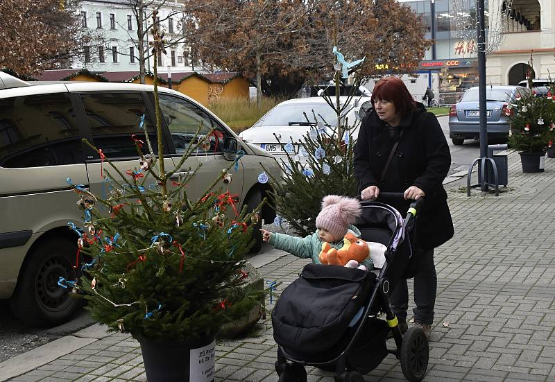 Tradice děti baví. Prostějovské náměstí T. G. Masaryka lemují desítky malých vánočních smrčků. 22.11. 2022