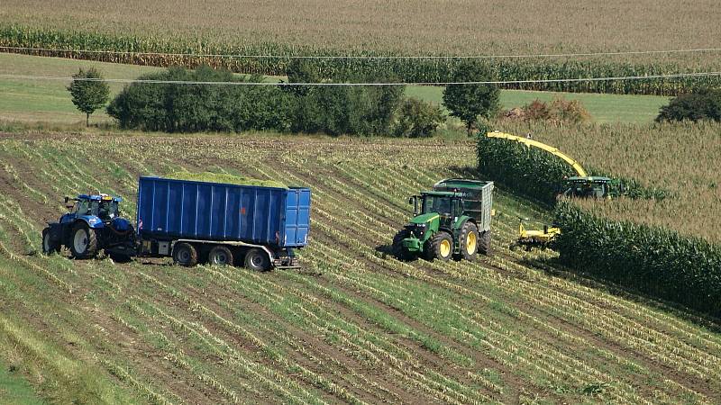 Sklizeň kukuřice na polích u Žárovic - 9. 9. 2020