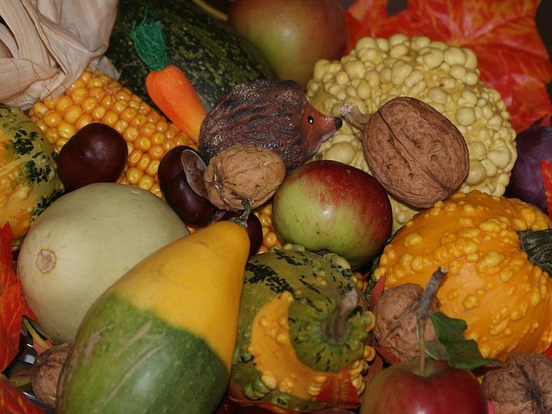 Výstava zeleniny a ovoce v Určicích 
