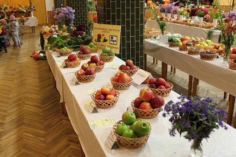 Prostějovští a čelčičtí zahrádkáři uspořádali Okresní výstavu, která hýřila barvami podzimu. 28.-30.9. 2019