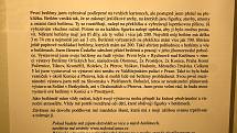 Unikátní výstava papírových betlémů v prostějovském Špalíčku - prosince 2020